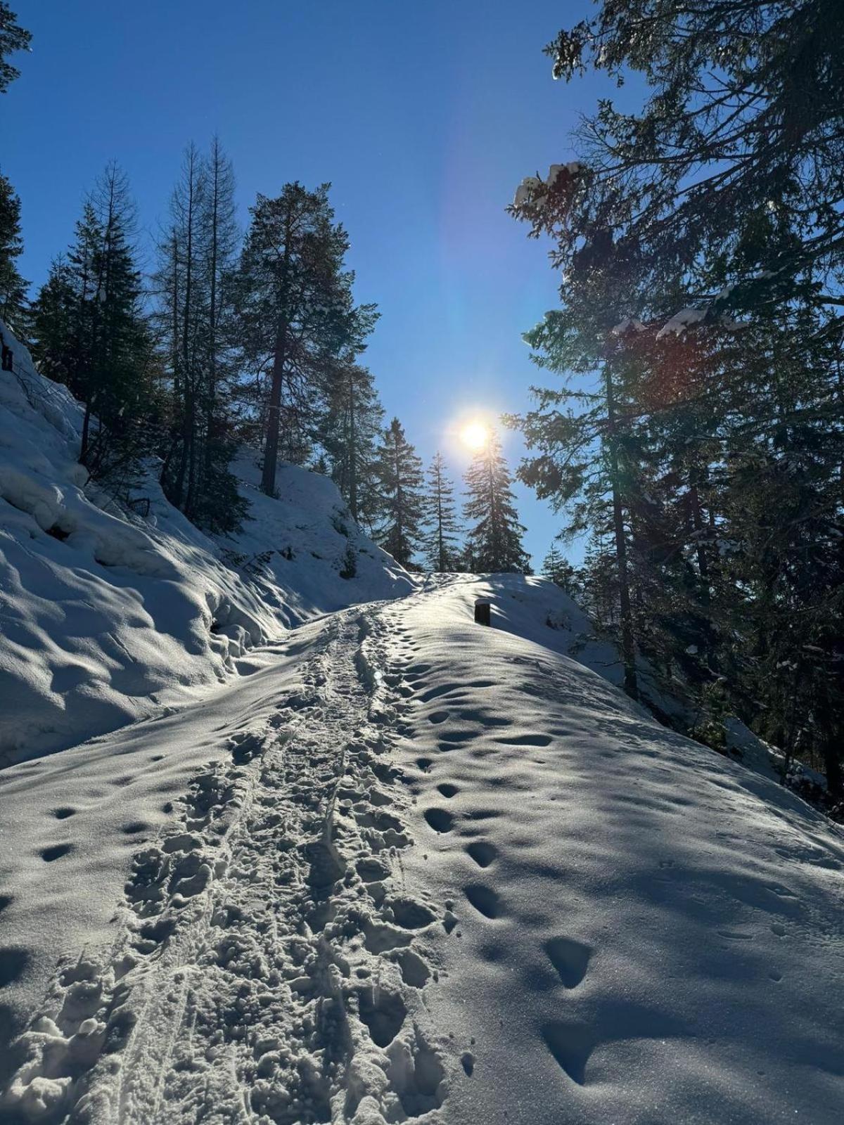 Alpenlandhaus Menardi Seefeld in Tirol Exteriör bild