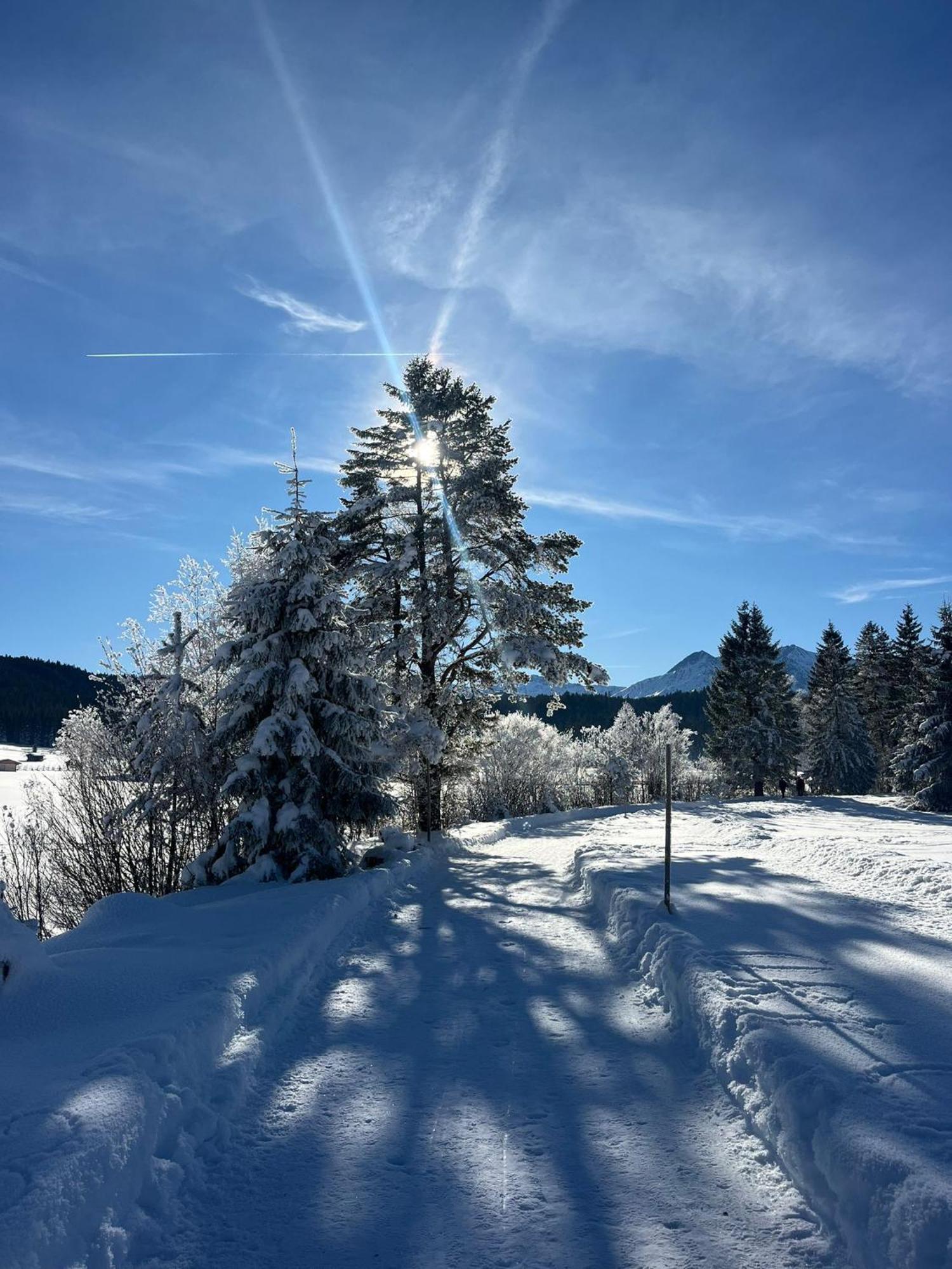 Alpenlandhaus Menardi Seefeld in Tirol Exteriör bild